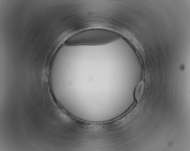 X0000116790993201001081310