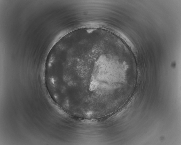 X0000116790994201001081310