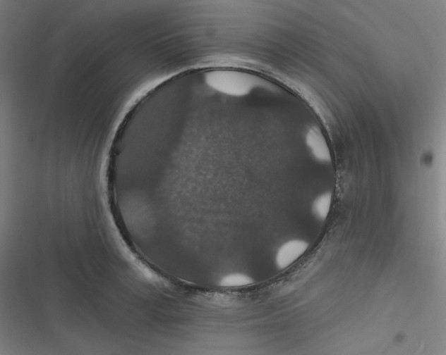 X0000116790995201001081310