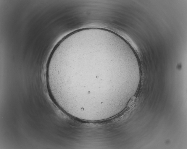 X0000116790996201001081310