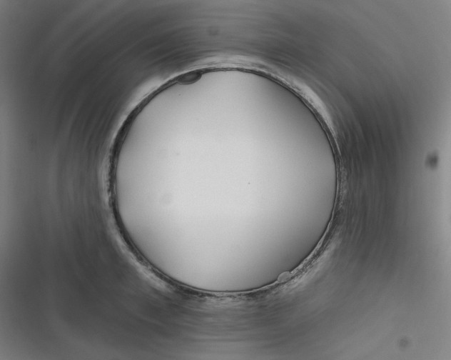 X0000116790997201001081310