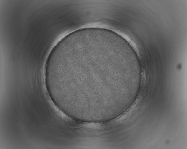 X0000116790998201001081310