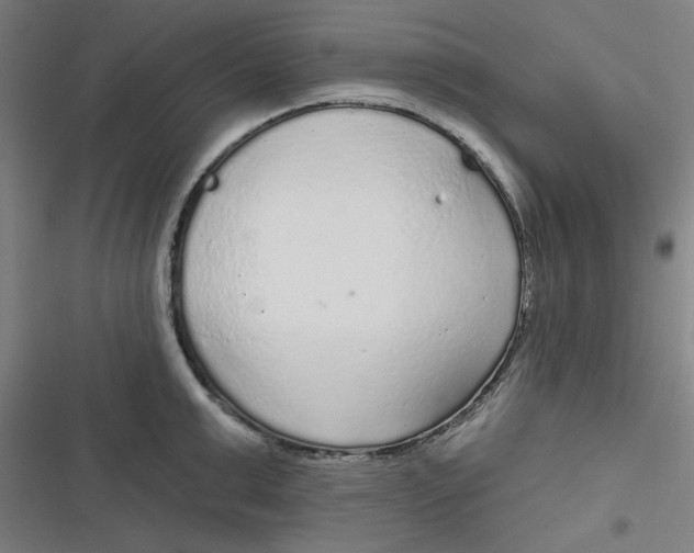 X0000116790999201001081309