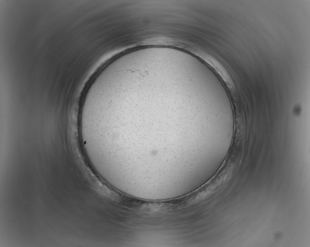 X0000116791000201001081309