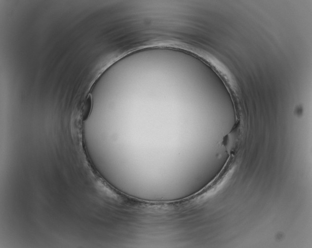 X0000116791001201001081309