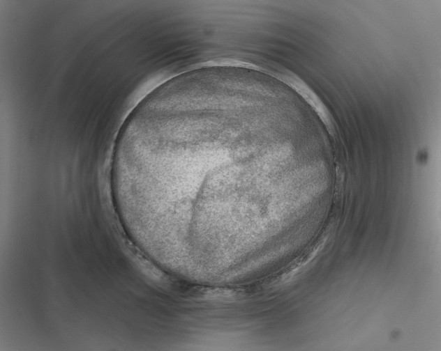 X0000116791002201001081309