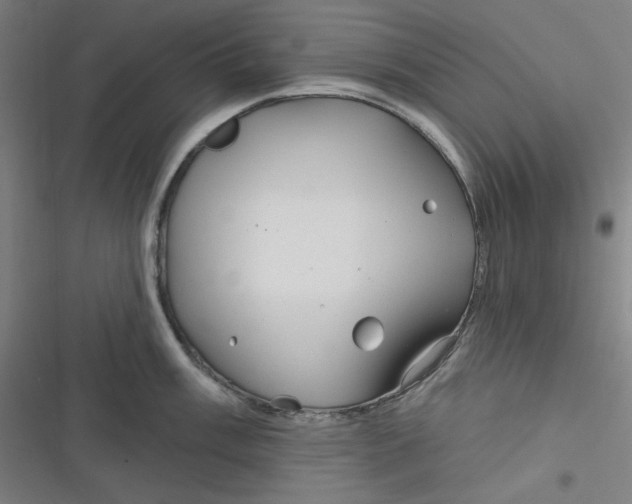 X0000116791003201001081309