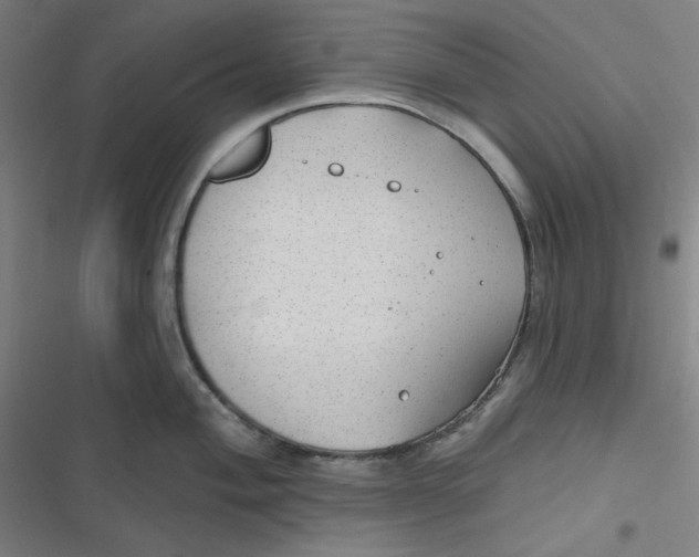 X0000116791004201001081309