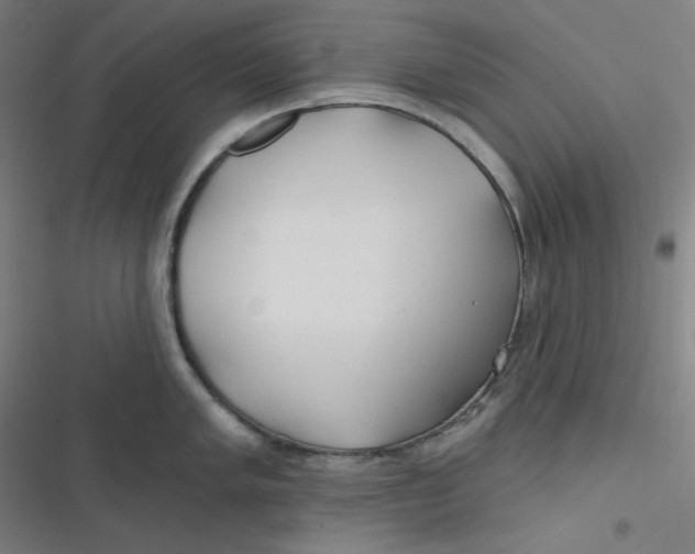 X0000116791005201001081309