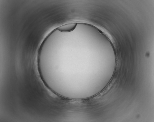 X0000116791006201001081309