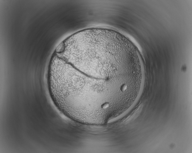 X0000116791007201001081309