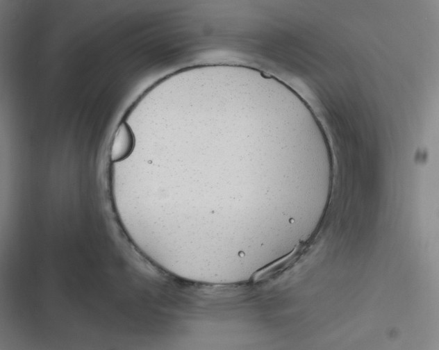 X0000116791008201001081309