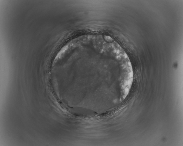 X0000116791009201001081309