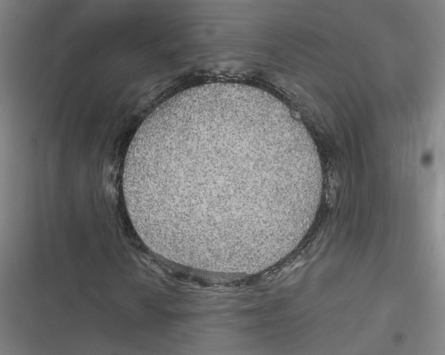 X0000116791010201001081309