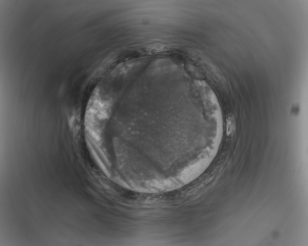 X0000116791011201001081309