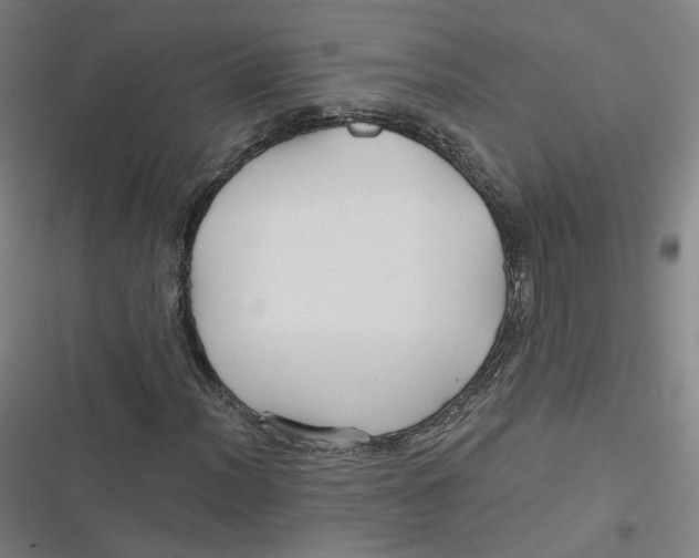 X0000116791012201001081309