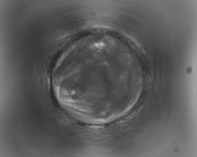 X0000116791013201001081309