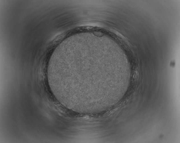 X0000116791014201001081309