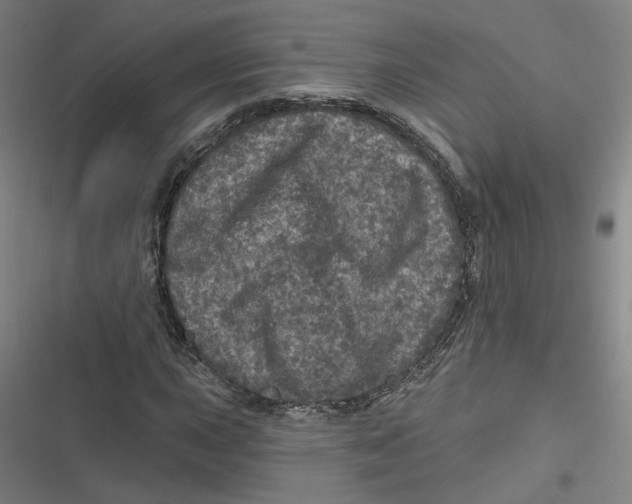 X0000116791015201001081309