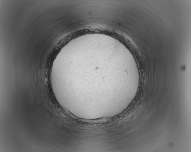 X0000116791016201001081309