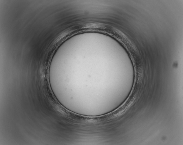 X0000116791017201001081309