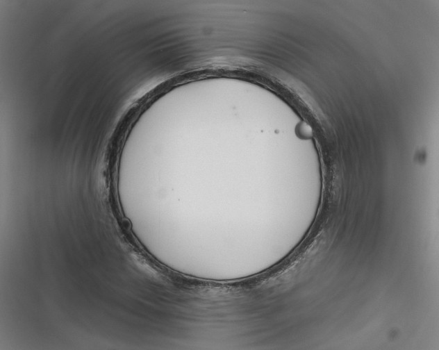 X0000116791018201001081309