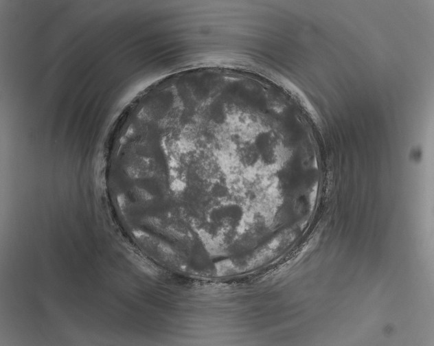 X0000116791019201001081309