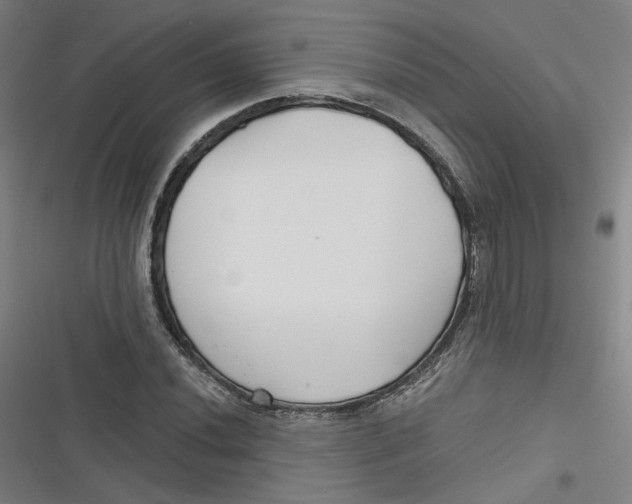 X0000116791020201001081309