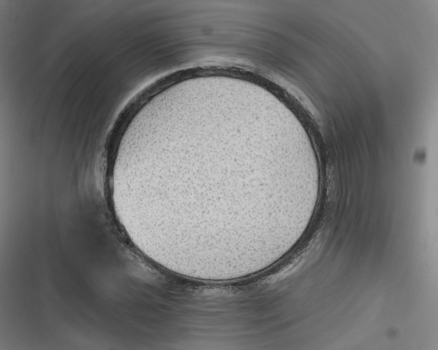 X0000116791021201001081309