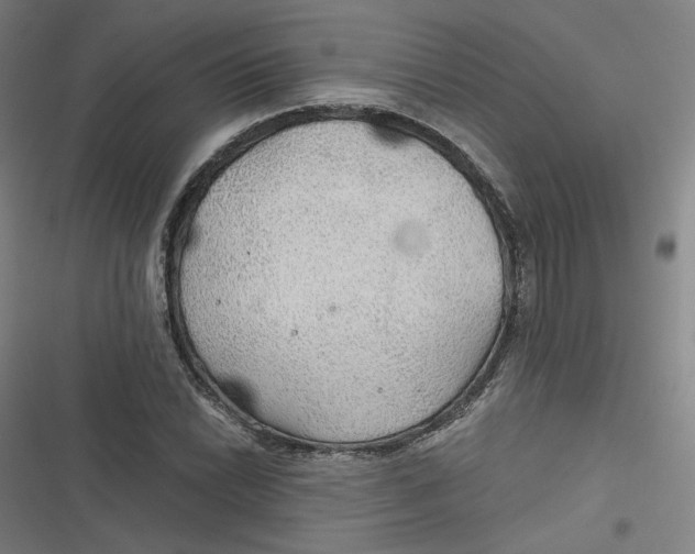 X0000116791022201001081309