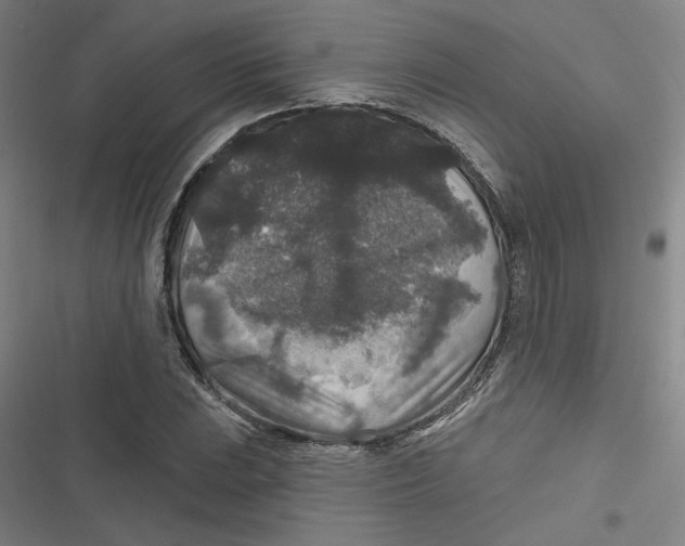 X0000116791023201001081309