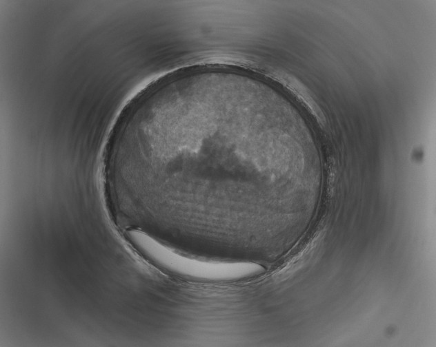 X0000116791024201001081309