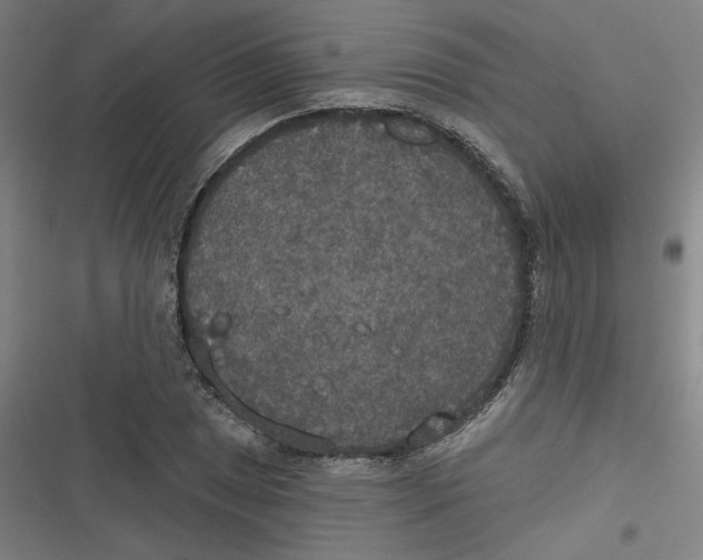 X0000116791025201001081309