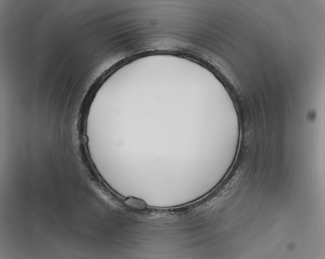 X0000116791026201001081309