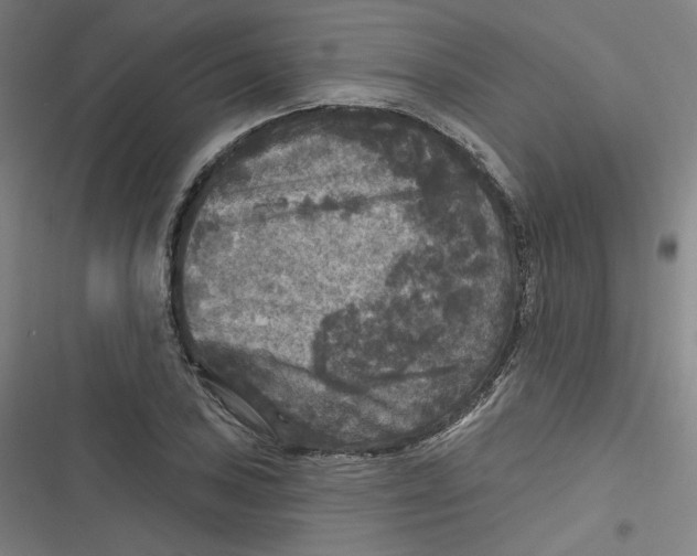 X0000116791027201001081309