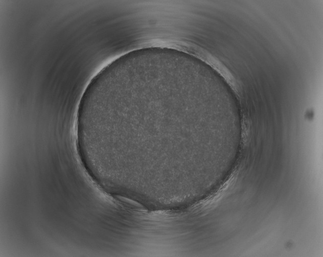 X0000116791028201001081309