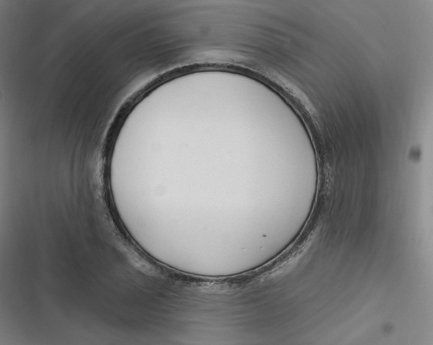 X0000116791029201001081309