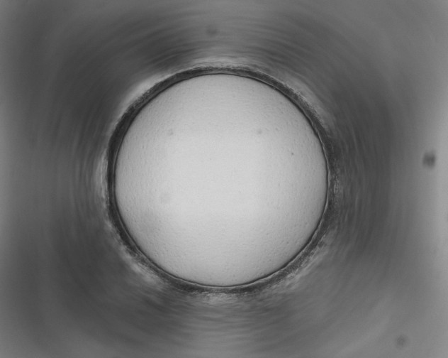 X0000116791030201001081309