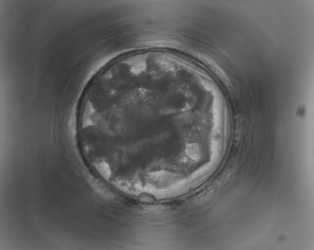 X0000116791031201001081309