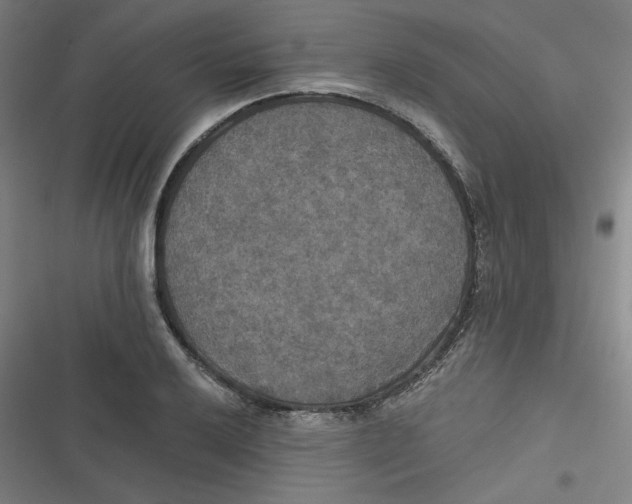 X0000116791032201001081309