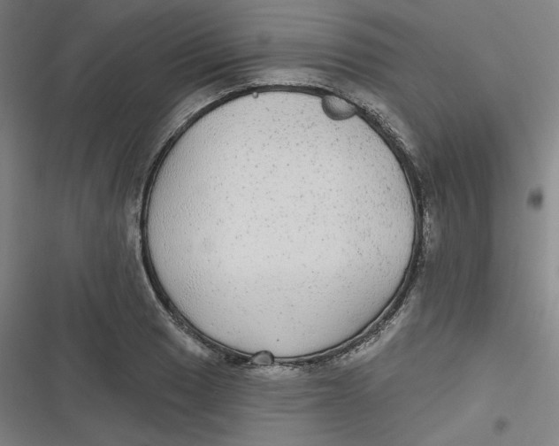 X0000116791033201001081309