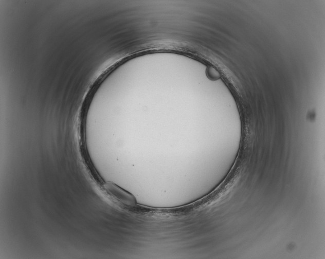 X0000116791034201001081309