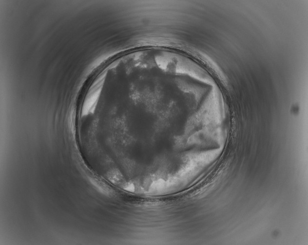 X0000116791035201001081309