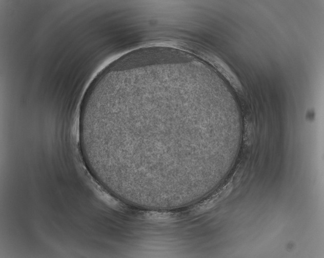 X0000116791036201001081309