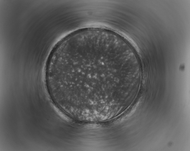 X0000116791037201001081309