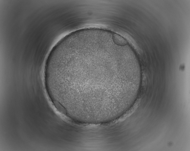 X0000116791038201001081309