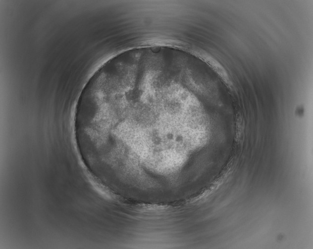 X0000116791039201001081309