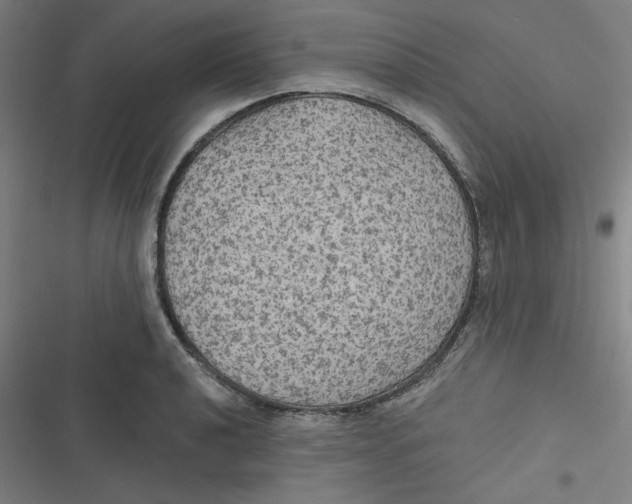 X0000116791040201001081309