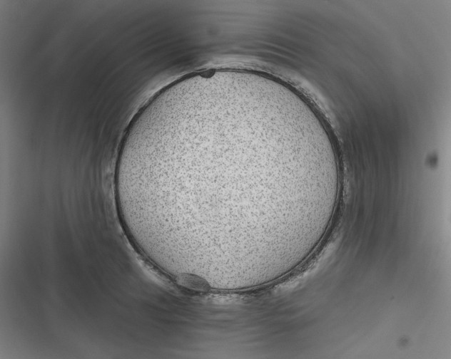 X0000116791041201001081309