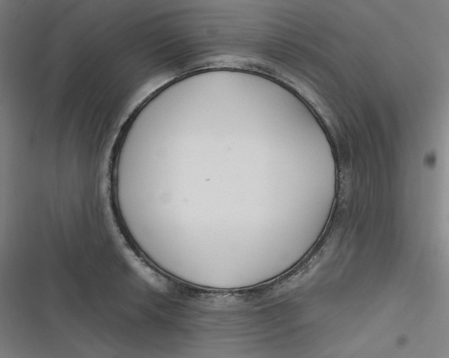 X0000116791042201001081309